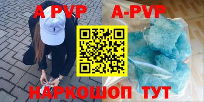 стафф Лесосибирск