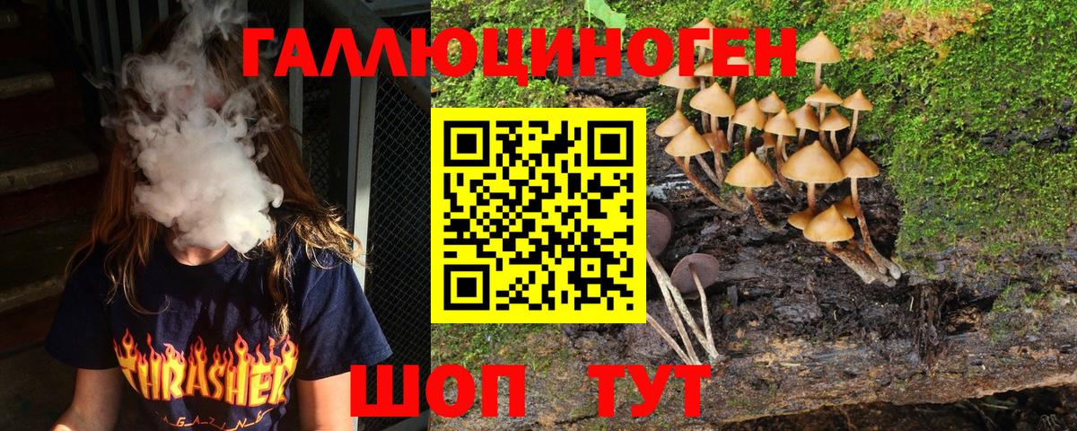 Псилоцибиновые грибы ЛСД Великий Новгород