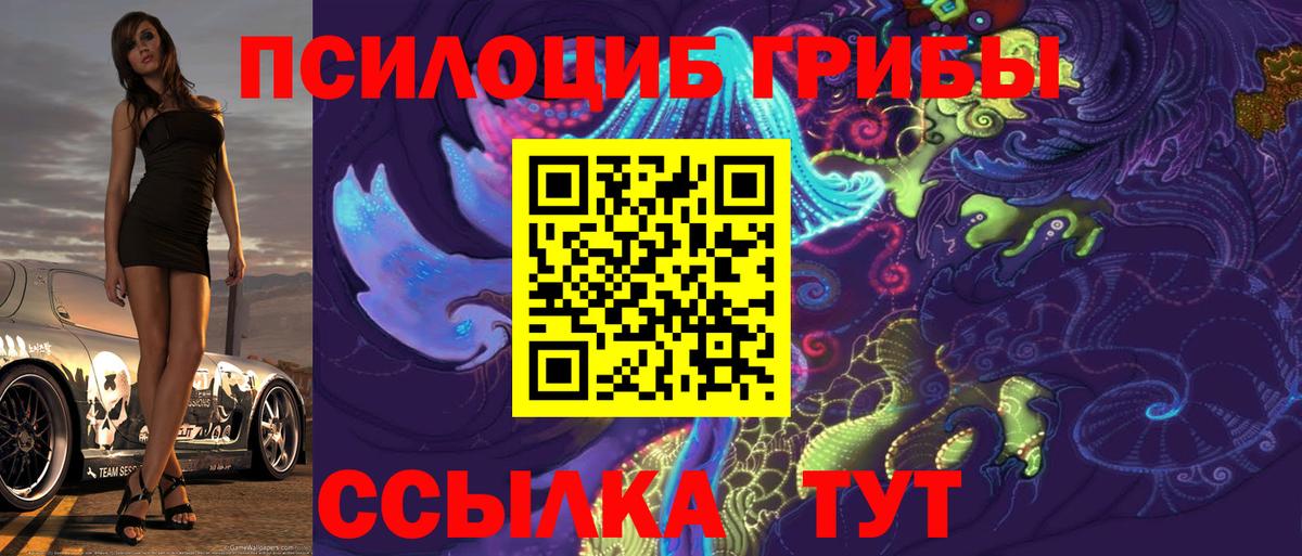 Великий Новгород  Галлюциногенные грибы Cubensis  купить   Вход с VPN 