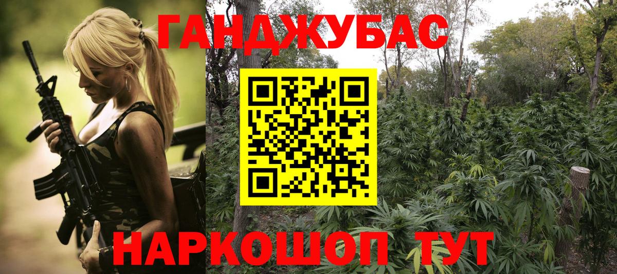 Бошки Шишки план Великий Новгород